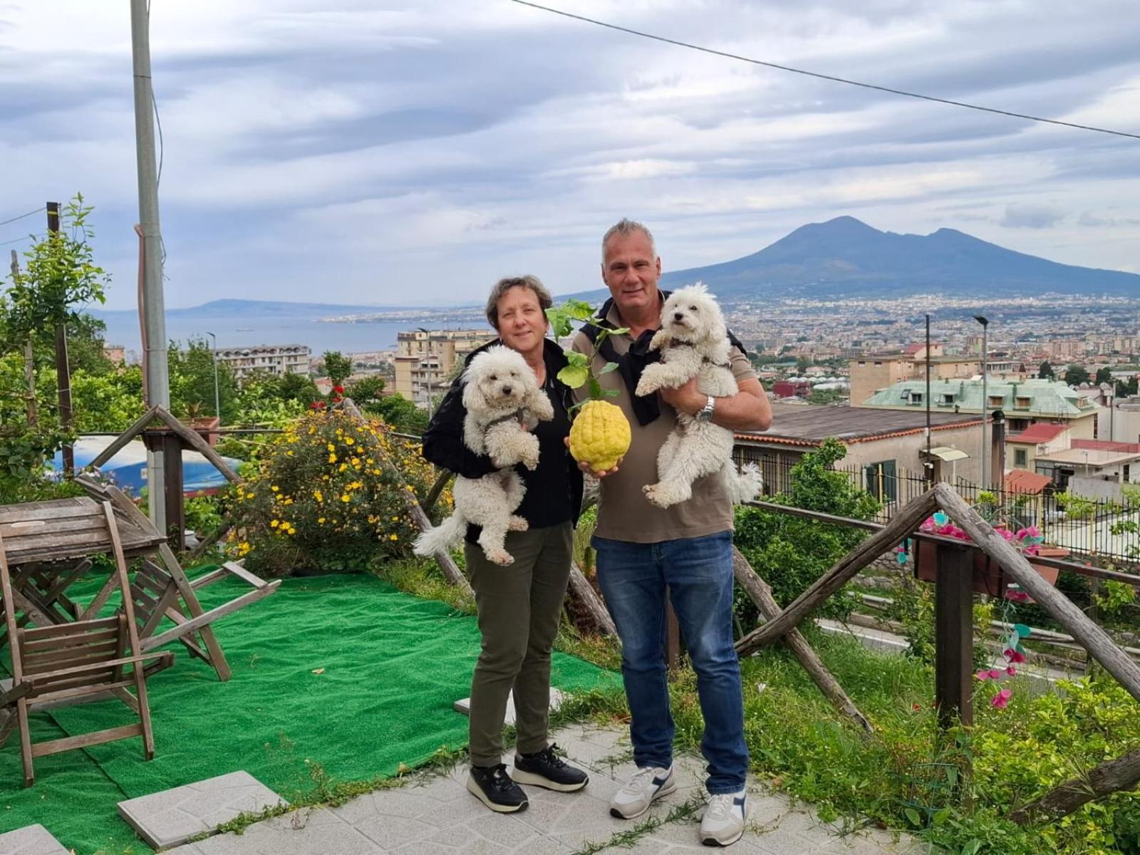 B&B Il Limoneto Gragnano Exterior foto